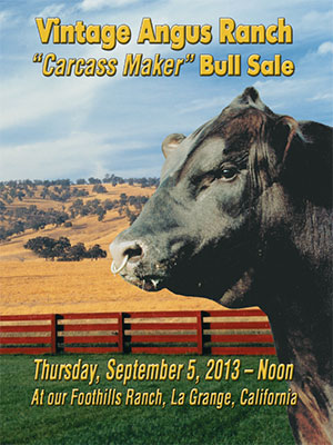 2013 Carcass Maker Bull Sale
