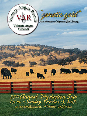 2013 Genetic Gold 27th Annual Production Sale